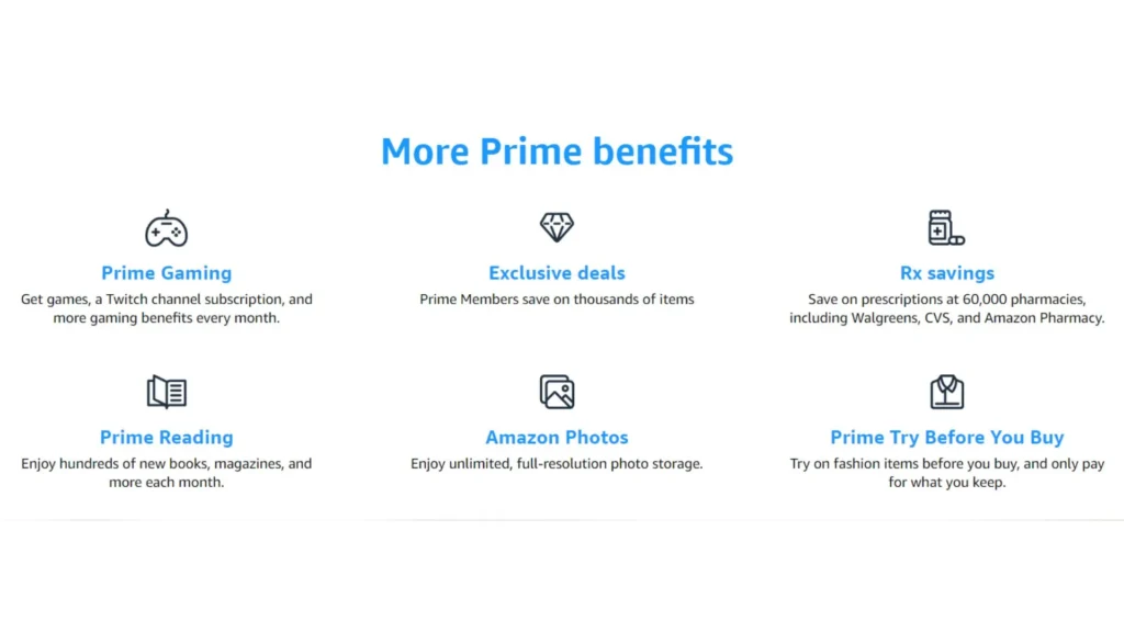 company loyalty programs