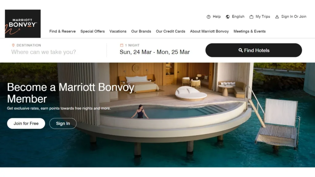 company loyalty programs